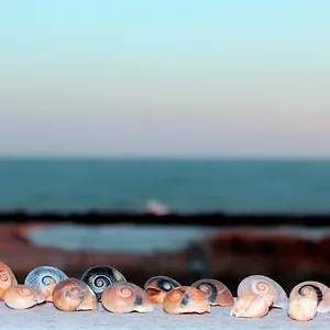 https://appartamenti-giunone.sicilyhotelsitaly.net